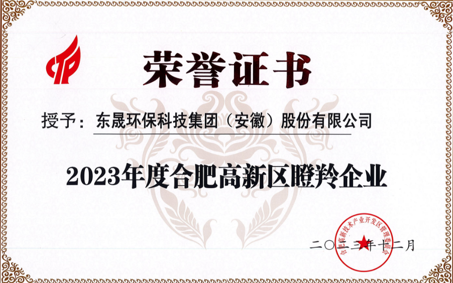喜報丨集團榮獲合肥高新區(qū)“瞪羚企業(yè)”、“深科技企業(yè)”雙項榮譽